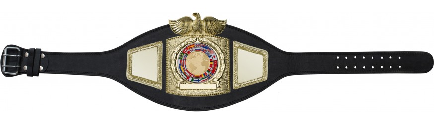PLTEAGLE WORLD FLAGS CHAMPIONSHIP BELT - PLTEAGLE/G/FLAG PLTEAGLE WORLD FLAGS CHAMPIONSHIP BELT - PLTEAGLE/G/FLAG